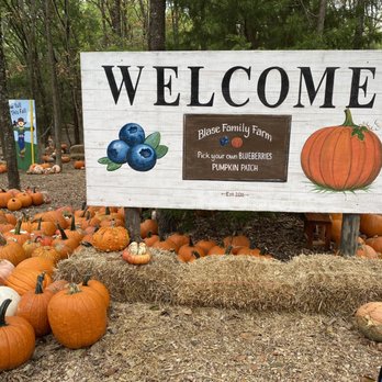 Blase Family Farm - Pick Your Own Farms Near Me - Rockwall, Texas Blase Family Farm - Pick Your Own Farms Near Me - Rockwall, Texas
