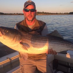 AnglerFish Guides - Capt. Tim with with a great fish.  Striped Bass from Boston Harbor Aug'16