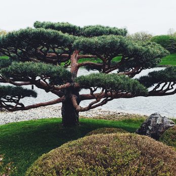 Chicago Botanic Garden - Botanical Gardens Near Me - Glencoe, Illinois