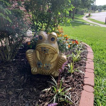 Colmenero Mexican Imports - Frog planter. So much fun! - Nurseries & Gardening Near Me - McKinney, Texas