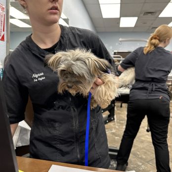 PetSmart - The "Before" photo. - Pet Stores Near Me - Glendale, Arizona