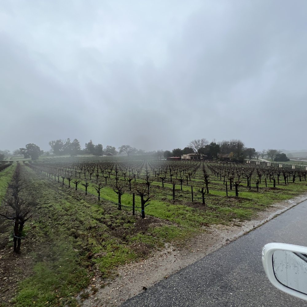 Castoro Cellars - The vineyard view - Wineries Near Me - Templeton, California Castoro Cellars - The vineyard view - Wineries Near Me - Templeton, California