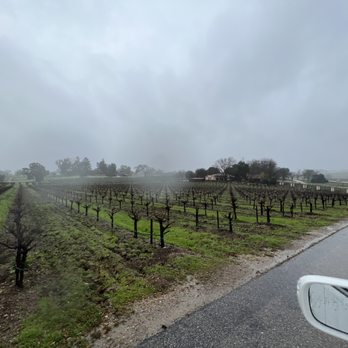 Castoro Cellars - The vineyard view - Wineries Near Me - Templeton, California Castoro Cellars - The vineyard view - Wineries Near Me - Templeton, California
