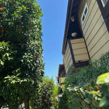 Affordable Tree Care - Tree Services Near Me Affordable Tree Care - Tree Services Near Me