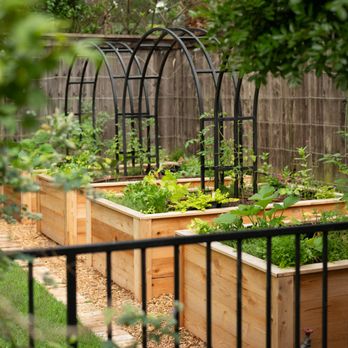 Kitchen Garden Dallas - Landscape Architects or Designers Near Me - Dallas, Texas Kitchen Garden Dallas - Landscape Architects or Designers Near Me - Dallas, Texas