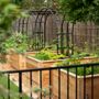 Photo of Kitchen Garden Dallas