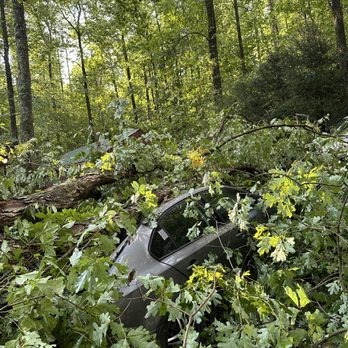 Ramire’z Tree Removal - Tree Services Near Me - East Ellijay, Georgia Ramire’z Tree Removal - Tree Services Near Me - East Ellijay, Georgia