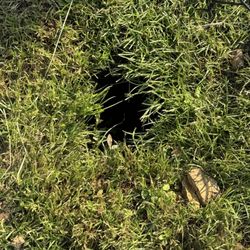 Ayres Construction - Holes left all in my yard