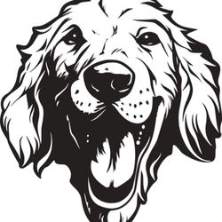 Willow's Golden Pub