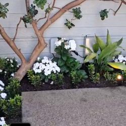Lopez Garden Services