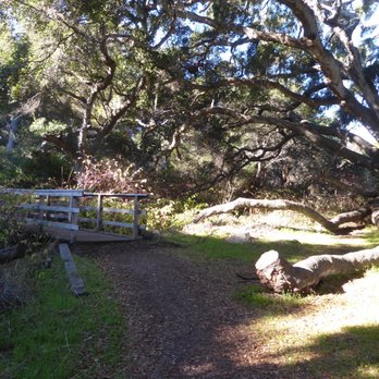 Los Osos Oaks State Reserve - Entrance to the trails with the bridge over the creek - Hiking Near Me - Los Osos, California Los Osos Oaks State Reserve - Entrance to the trails with the bridge over the creek - Hiking Near Me - Los Osos, California