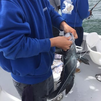 Albacore Charters - Fishing Near Me - Nantucket, Massachusetts