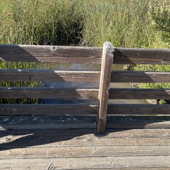 Cloisters Park - Ducks! - Playgrounds Near Me - Morro Bay, California