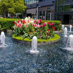 Hillsdale Shopping Center Fountain - Fountain