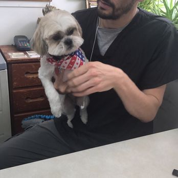 Annandale Pet Spa - Pet Groomers Near Me - Annandale, Virginia