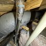 Photo of Vent Doctors