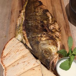 Baja striped bass Baja striped bass