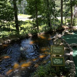Oaks Miniature Golf - Pond with fish