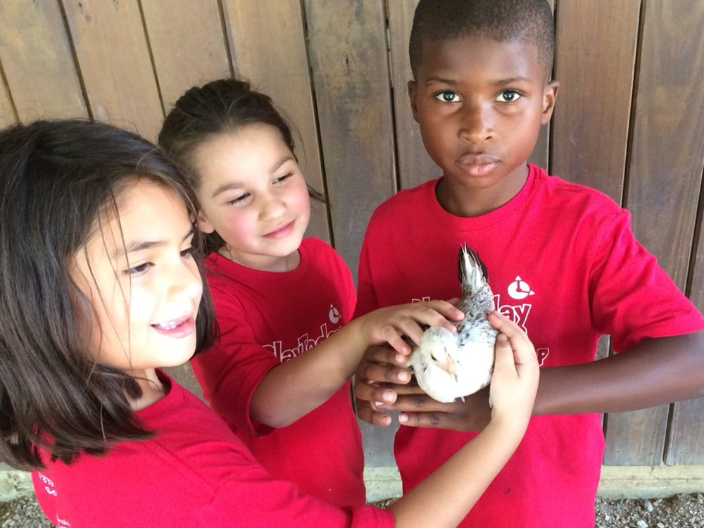 Play Today Drop-in Daycare - childcare center in Schertz, TX