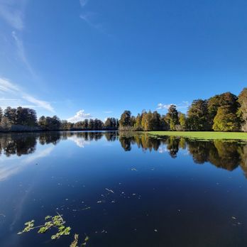 Lettuce Lake Park - Parks Near Me - Tampa, Florida