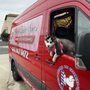 Photo of Divine Canine Spa