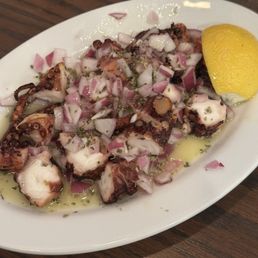 Octopus Octopus