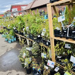 West Seattle Nursery
