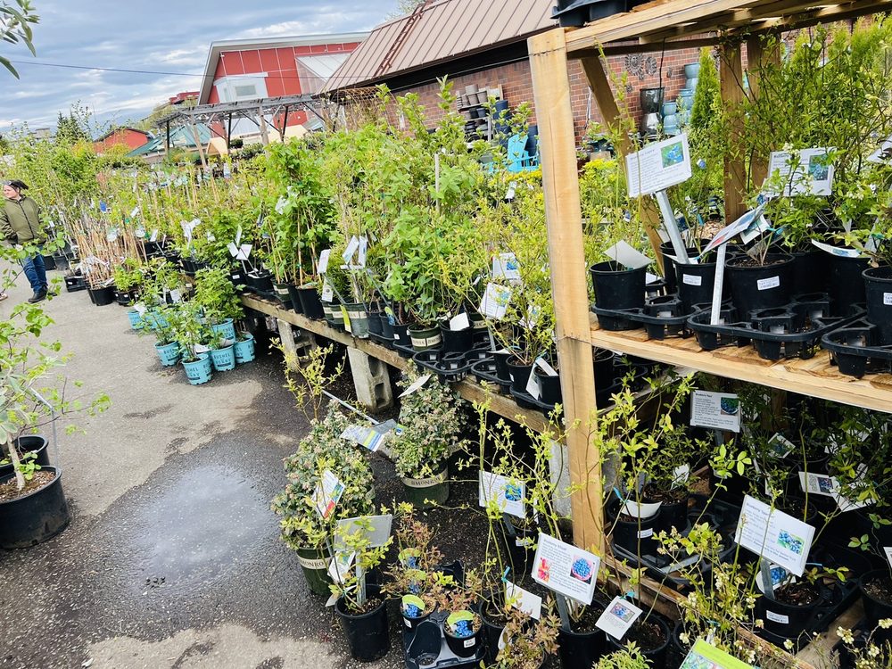 WEST SEATTLE NURSERY 64 Photos & 160 Reviews 5275 California Ave SW