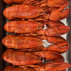 Starfish and Chips - Lobster