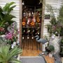 Photo of Peace Arch Nursery