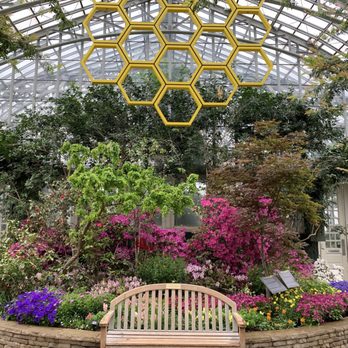 Garfield Park Conservatory - Bench with adorable honeycomb art - Parks Near Me - Chicago, Illinois