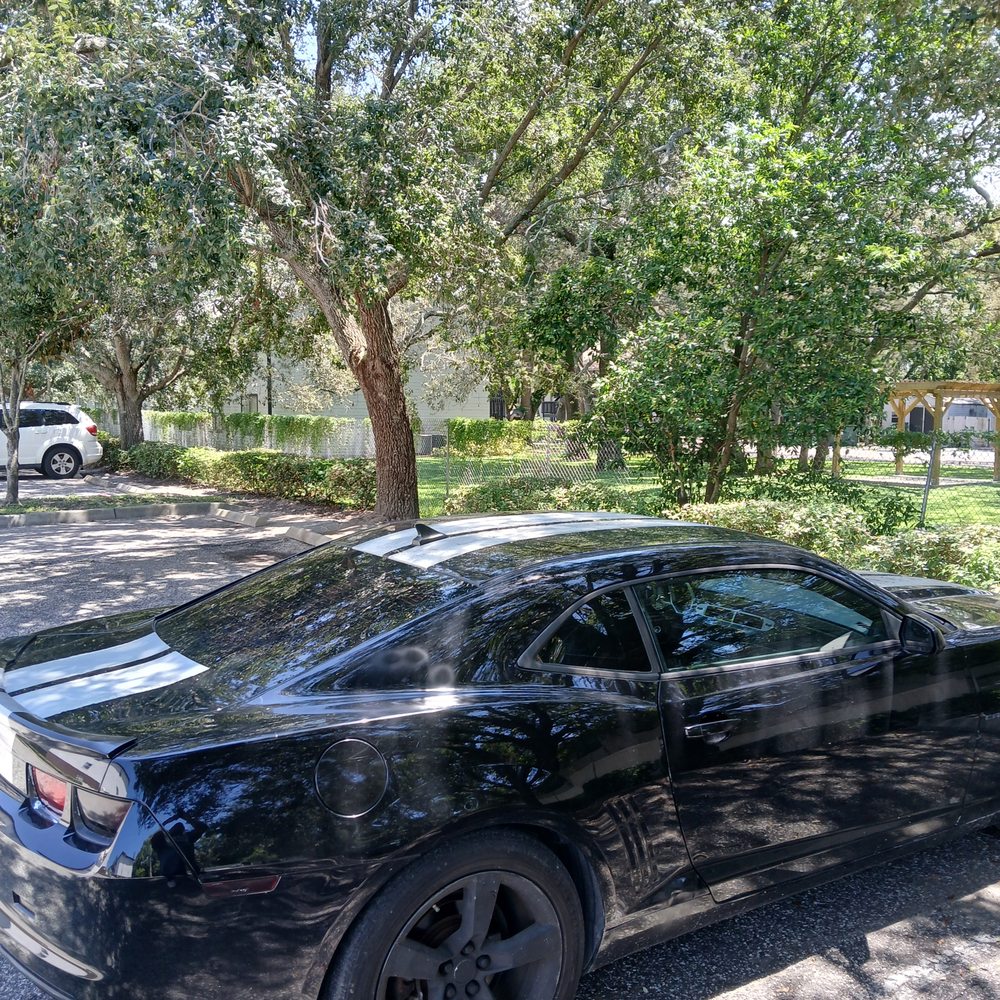Ferman Chevrolet - 2013 Chevy Camaro - Car Dealers Near Me - Tampa, Florida