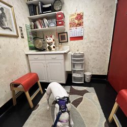 South San Diego Veterinary Hospital