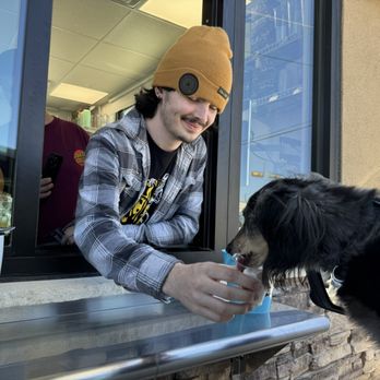 The Human Bean - Knox loves his pup cup!! - Coffee & Tea Near Me - Georgetown, Texas