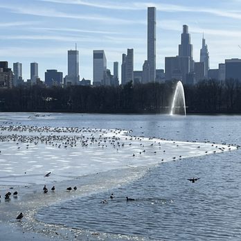 Central Park Conservancy - Frozen reservoir - Parks Near Me - New York, New York Central Park Conservancy - Frozen reservoir - Parks Near Me - New York, New York