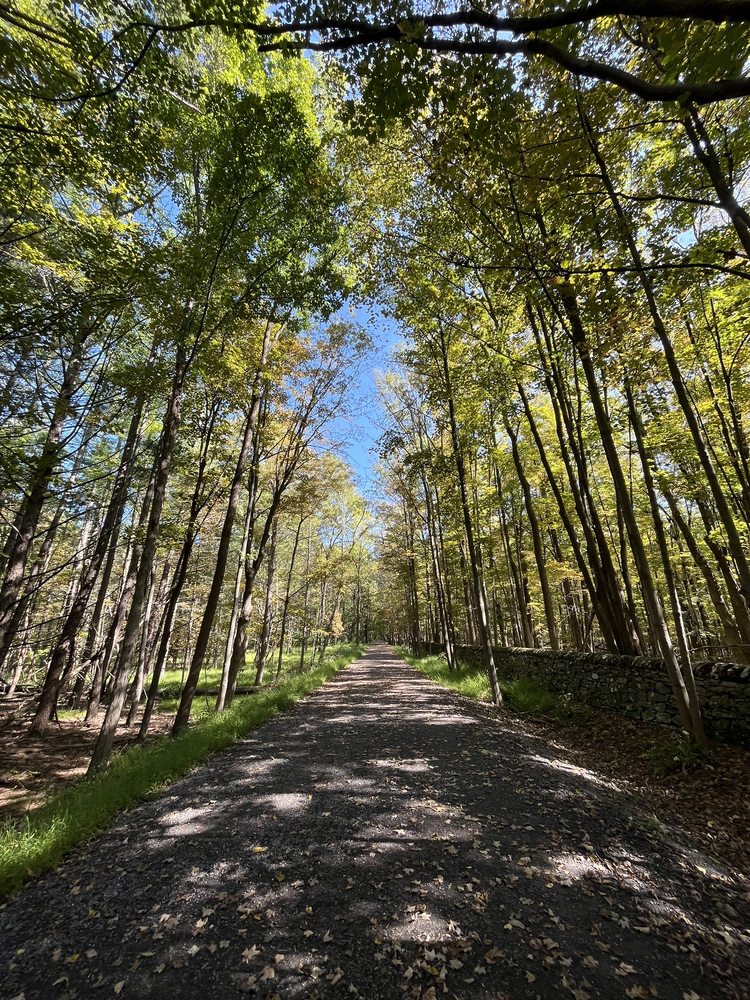 THE ASHOKAN RAIL TRAIL ART Updated August 2024 18 Photos 1285 NY