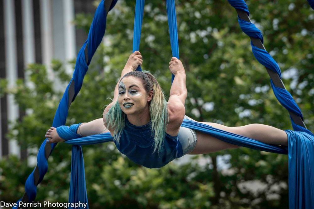 Host Of Sparrows Aerial Dance & Circus Arts Logo