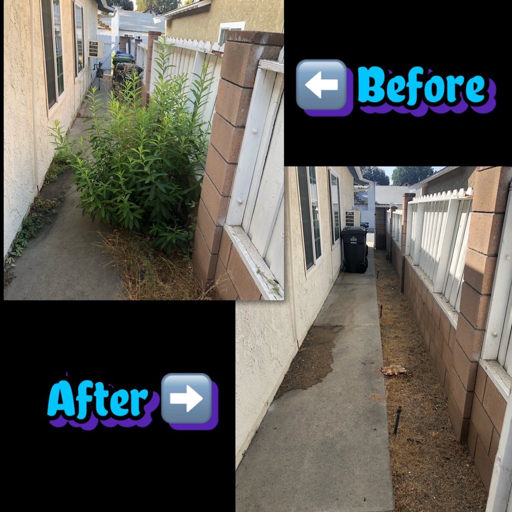 Josue's Landscaping and Tree Service - Tree Services Near Me - Simi Valley, California Josue's Landscaping and Tree Service - Tree Services Near Me - Simi Valley, California