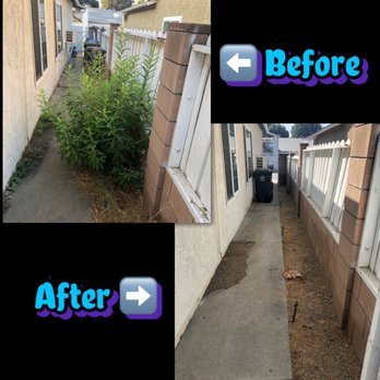 Josue's Landscaping and Tree Service - Tree Services Near Me - Simi Valley, California