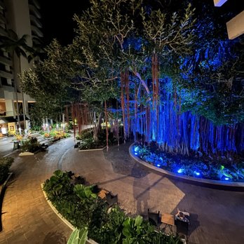 Hale Koa Hotel - Banyan tree during night - Hotels Near Me - Honolulu, Hawaii