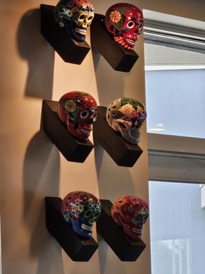 Dahlia Daytona Beach by null