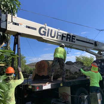 Nilo Landscape - Professional and well maintained equipment and skilled personnel - Tree Services Near Me - Honolulu, Hawaii