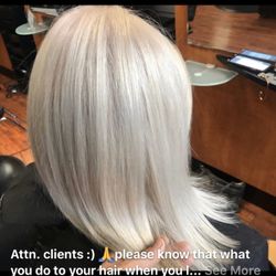 Salon Capelli - Silver bleach out and tone .