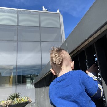 Surecuts - Kids cut - Barbers Near Me - Santa Cruz, California Surecuts - Kids cut - Barbers Near Me - Santa Cruz, California