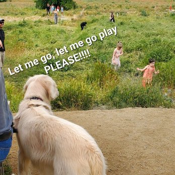 Clyde's Corner - Playground for everyone to.enjoy. - Pizza Near Me - Phoenix, Oregon