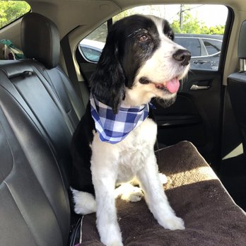 Floof Pet Grooming - Pet Groomers Near Me - Seattle, Washington Floof Pet Grooming - Pet Groomers Near Me - Seattle, Washington