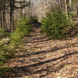 Maine Mountain Bike Adventures