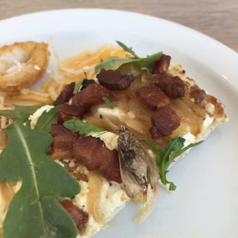 Lighthouse - There was a dead moth that was served to us. Do not eat here! - Breakfast & Brunch Near Me - Newport Beach, California