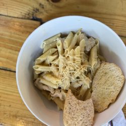 El Criollito - Penne pasta with Alfredo sauce and chicken