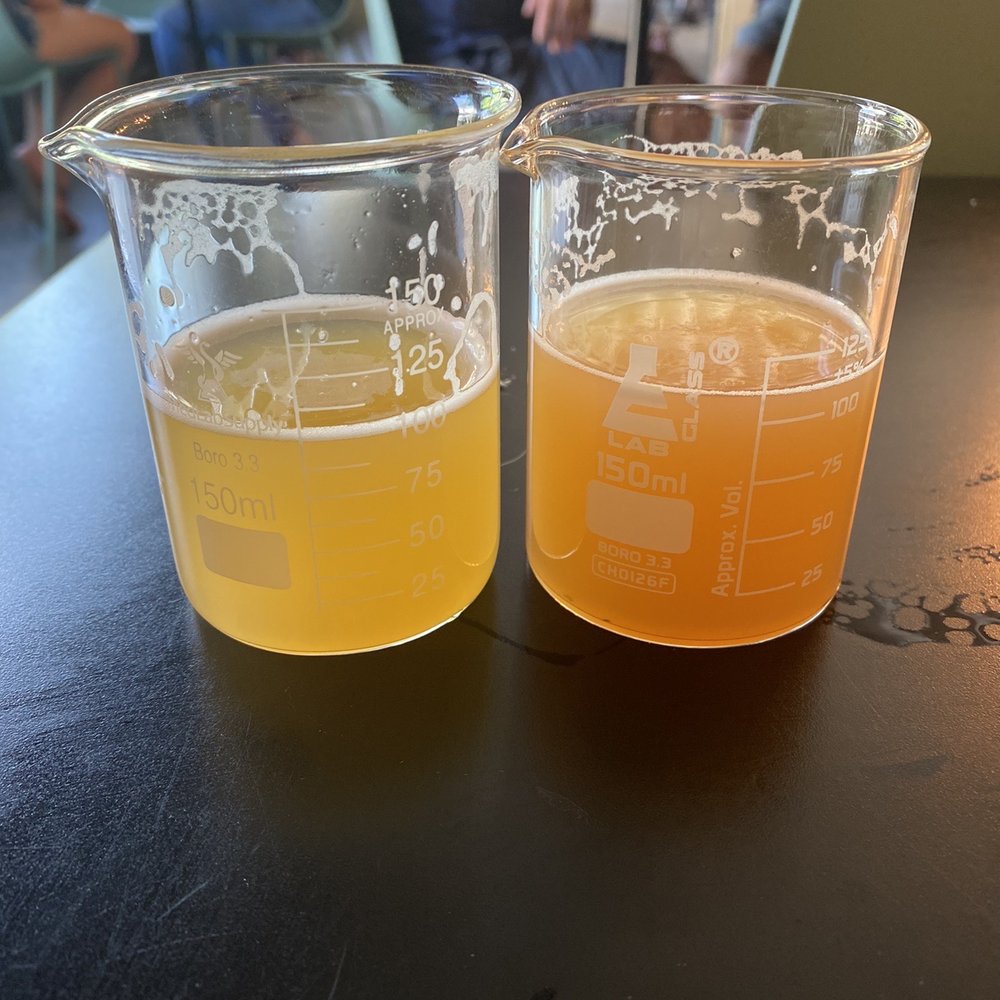 Cerebral Brewing - Vital Linguistics on the left, Sticky Stuff on the right. Cheers!! - Breweries Near Me - Denver, Colorado